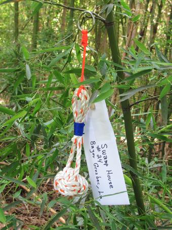 decorative knots and nets