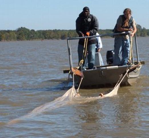 Siamese trawl, Mini-Missouri trawl