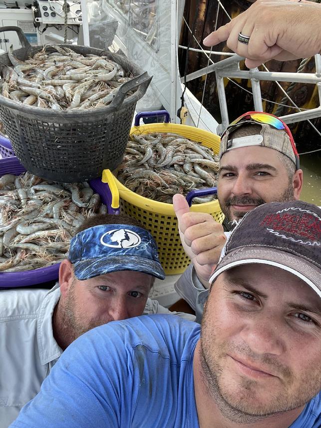 SHRIMP TRAWL