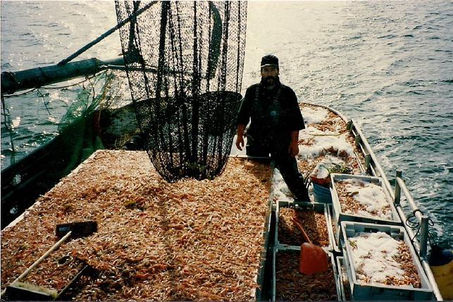 shrimp trawls and beam nets